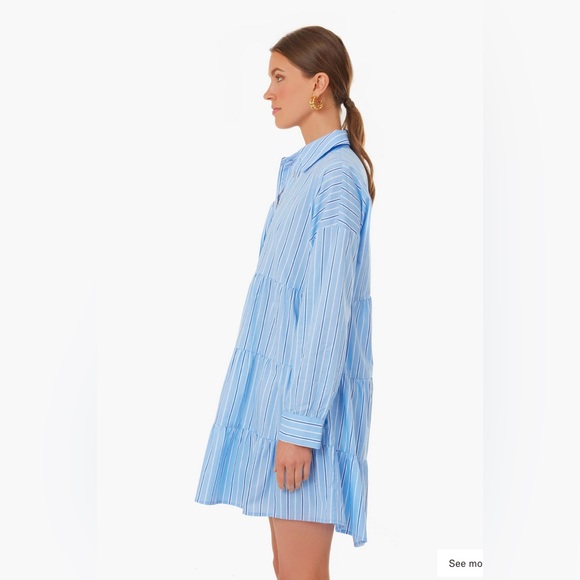 NWT Tuckernuck Shades of Blue Stripe Dress - Picture 2 of 3